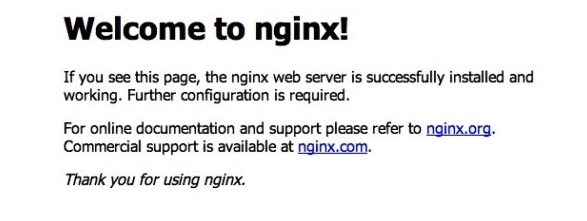 nginx1-01